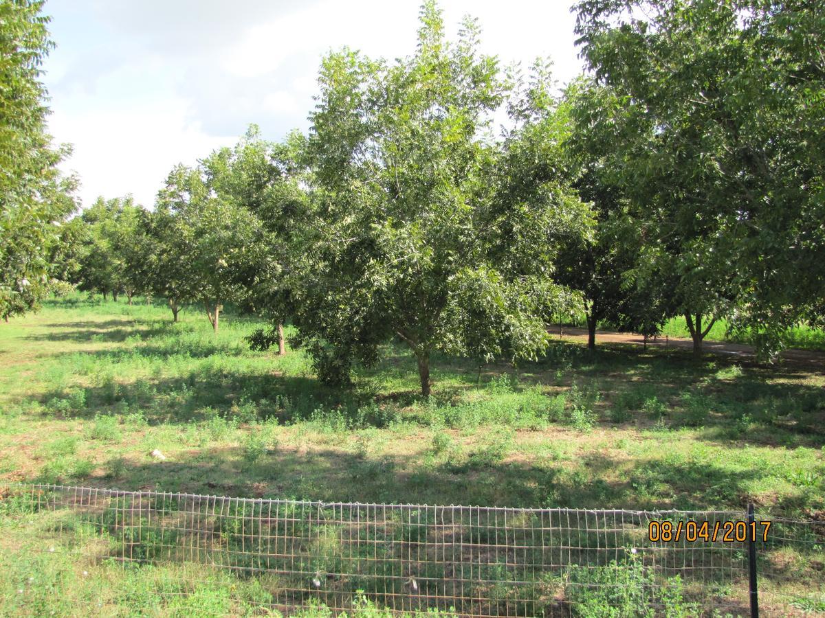Millstream 2*